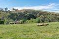 Property photo of 2614 Gorge Road Gumeracha SA 5233