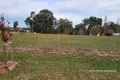 Property photo of 14 Penrose Close Molong NSW 2866