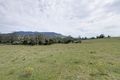 Property photo of 1237 Leggetts Drive Mount Vincent NSW 2323
