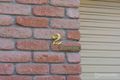 Property photo of 2/4 Bettong Place Howrah TAS 7018