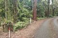 Property photo of 9 Gwongorella Parade Springbrook QLD 4213