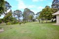 Property photo of 65 Winfield Road Ormeau QLD 4208