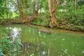 Property photo of 3 Moran Close Main Arm NSW 2482