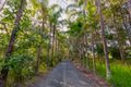Property photo of 283 Louis Bazzo Drive Pomona QLD 4568