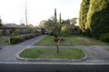 Property photo of 17 Rozelle Avenue Ringwood East VIC 3135