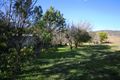 Property photo of 3962 Armidale Road Nymboida NSW 2460