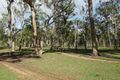 Property photo of 27553 Bruce Highway Isis River QLD 4660