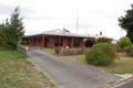 Property photo of 5 Rix Avenue Cobden VIC 3266