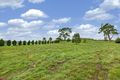 Property photo of 1 Romano Drive Pyalong VIC 3521
