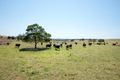 Property photo of 253 Old Macquarie Road Brayton NSW 2579
