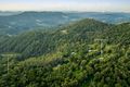 Property photo of 823 Tomewin Mountain Road Currumbin Valley QLD 4223