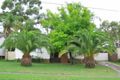 Property photo of 5 Hawkins Street Blacktown NSW 2148