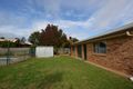 Property photo of 29 Jensen Street Gunnedah NSW 2380