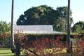 Property photo of 27 Bucasia Esplanade Bucasia QLD 4750