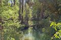 Property photo of 24 Marroo Road Brooloo QLD 4570