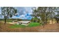 Property photo of 407 Coorooman Creek Road Cawarral QLD 4702