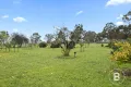 Property photo of 194 High Street Avoca VIC 3467