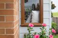 Property photo of 65 Melrose Street Lorn NSW 2320