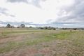 Property photo of LOT 91 Lettie Street Narrandera NSW 2700