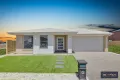 Property photo of 6 Valais Way Rockbank VIC 3335