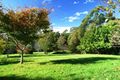 Property photo of 75A Forster Drive Bawley Point NSW 2539