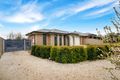 Property photo of 44 Moore Avenue Nuriootpa SA 5355