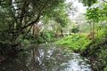 Property photo of 6 Sharpe Close Moonee Beach NSW 2450