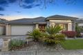 Property photo of 3 Hollyrood Drive Berwick VIC 3806