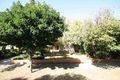 Property photo of 3 Agnes Street Glengowrie SA 5044