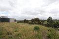 Property photo of 20 Rice Flower Road Sunshine North VIC 3020
