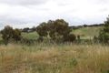 Property photo of 20 Rice Flower Road Sunshine North VIC 3020