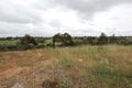 Property photo of 20 Rice Flower Road Sunshine North VIC 3020