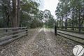 Property photo of 321 Baillies Road Copmanhurst NSW 2460