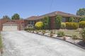 Property photo of 3 Searle Court Dandenong North VIC 3175