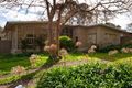 Property photo of 7 Corella Avenue Glenalta SA 5052