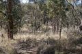 Property photo of 1006 Tea Tree Road Roseberg NSW 2793