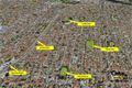 Property photo of 200 Bishopsgate Street Carlisle WA 6101