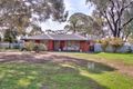 Property photo of 25 Ramsay Road Virginia SA 5120