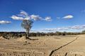 Property photo of 3 Sharman Road Leneva VIC 3691