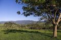 Property photo of 541 Jamberoo Road Jamberoo NSW 2533