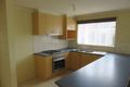 Property photo of 14 Oban Lane Bannockburn VIC 3331