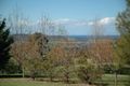 Property photo of 423 Strongs Road Jaspers Brush NSW 2535