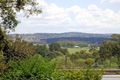Property photo of 11 View Place Muswellbrook NSW 2333