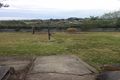 Property photo of 50 Clarence Road Waratah NSW 2298