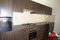 Property photo of 6 Pilot Close Minto NSW 2566