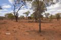 Property photo of 27 Parakeelya Road Connellan NT 0873