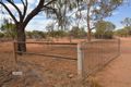 Property photo of 27 Parakeelya Road Connellan NT 0873