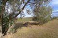 Property photo of 320 Flat Rock Road Hurstbridge VIC 3099