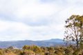Property photo of 16 Adamson Crescent Wanniassa ACT 2903