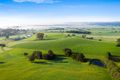 Property photo of 165 Devitts Lane Meroo Meadow NSW 2540